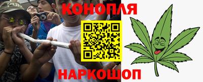 крисы Дубна
