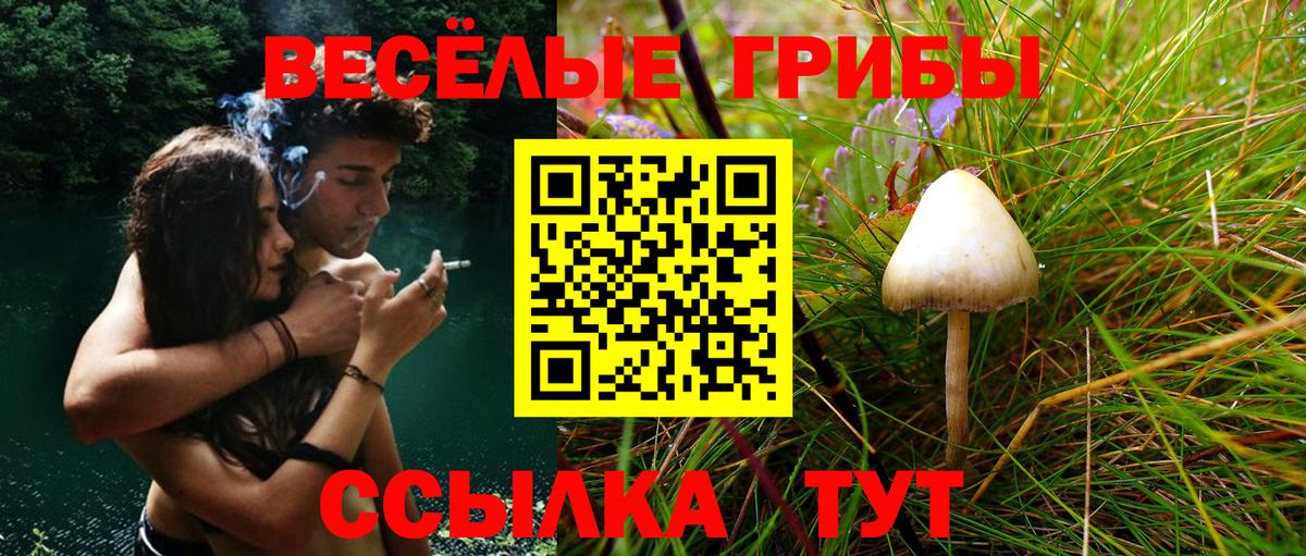Псилоцибиновые грибы мухоморы Нальчик