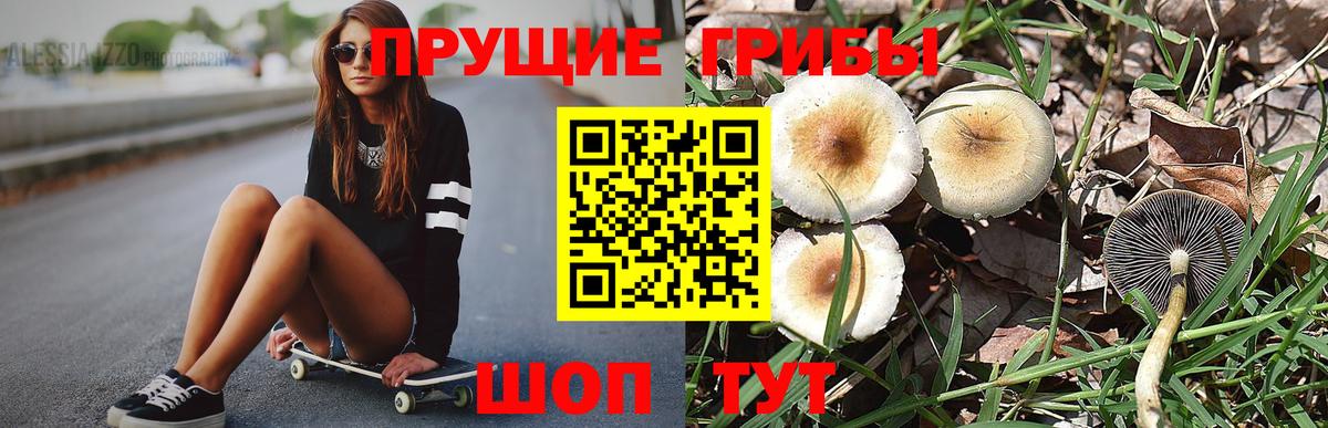 Нальчик  Галлюциногенные грибы Psilocybe  Вход с VPN  Галлюциногенные грибы Psilocybe 